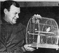 Бобров любил голубей