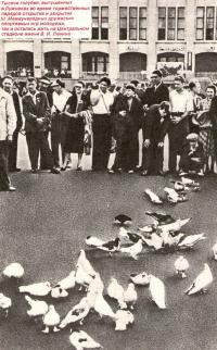 Тысячи голубей остались жить на Центральном стадионе имени В. И. Ленина